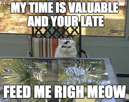 MY TIME IS VALUABLE AND YOUR LATE; FEED ME RIGH MEOW | image tagged in meet right meow | made w/ Imgflip meme maker