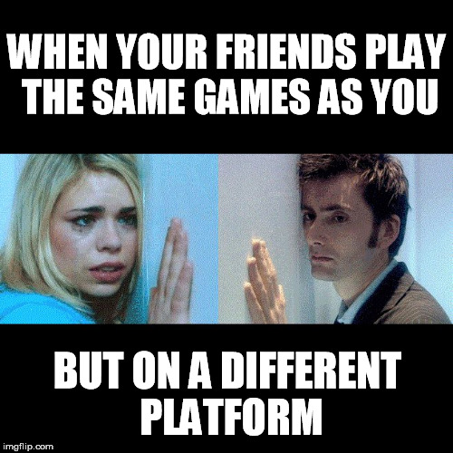 The Great Divide | WHEN YOUR FRIENDS PLAY THE SAME GAMES AS YOU; BUT ON A DIFFERENT PLATFORM | image tagged in doctor who - the wall,gaming,playstation,xbox,nintendo,pc gaming | made w/ Imgflip meme maker