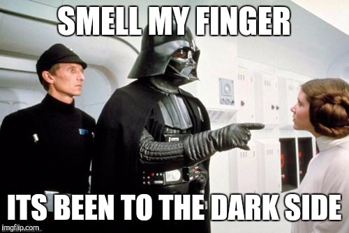 darth vader leia | SMELL MY FINGER; ITS BEEN TO THE DARK SIDE | image tagged in darth vader leia | made w/ Imgflip meme maker