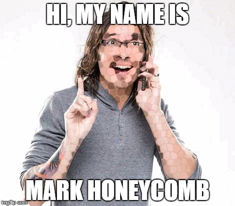 HI, MY NAME IS; MARK HONEYCOMB | image tagged in mark honeycomb holcomb | made w/ Imgflip meme maker