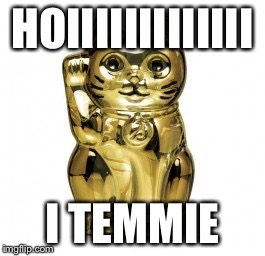 Golden pussy  | HOIIIIIIIIIIIII; I TEMMIE | image tagged in golden pussy | made w/ Imgflip meme maker