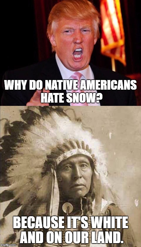 Too Much White | WHY DO NATIVE AMERICANS HATE SNOW? BECAUSE IT'S WHITE AND ON OUR LAND. | image tagged in donald trump and native american | made w/ Imgflip meme maker