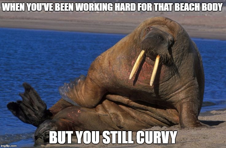 That Beach Body | WHEN YOU'VE BEEN WORKING HARD FOR THAT BEACH BODY; BUT YOU STILL CURVY | image tagged in beach body,fat,diet,fitness,skinny,yoga pants | made w/ Imgflip meme maker