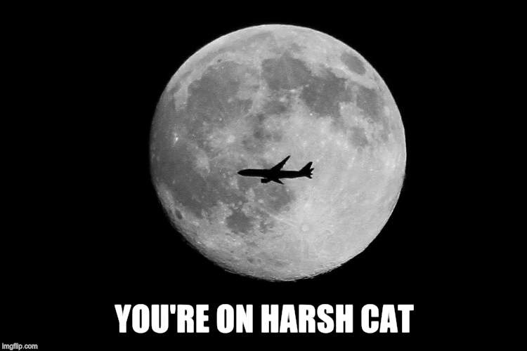 YOU'RE ON HARSH CAT | made w/ Imgflip meme maker