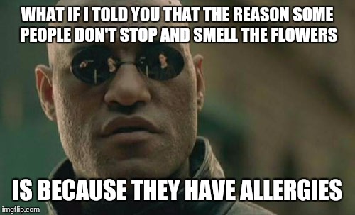 Ever Wonder Why Some People Are Grouchy All The Time? | WHAT IF I TOLD YOU THAT THE REASON SOME PEOPLE DON'T STOP AND SMELL THE FLOWERS; IS BECAUSE THEY HAVE ALLERGIES | image tagged in memes,matrix morpheus,funny,allergies,think about it | made w/ Imgflip meme maker
