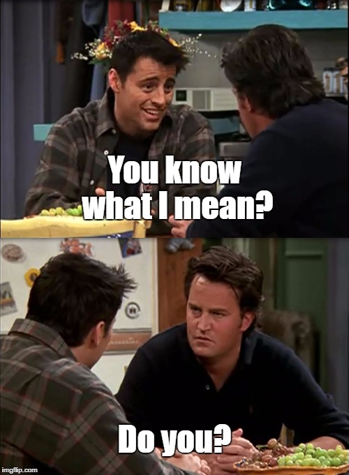 You know what I mean? Do you? | image tagged in chandler,joey,friends | made w/ Imgflip meme maker