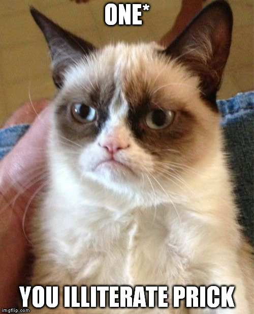 Grumpy Cat Meme | ONE* YOU ILLITERATE PRICK | image tagged in memes,grumpy cat | made w/ Imgflip meme maker
