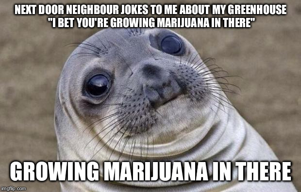 Awkward Moment Sealion Meme | NEXT DOOR NEIGHBOUR JOKES TO ME ABOUT MY GREENHOUSE "I BET YOU'RE GROWING MARIJUANA IN THERE"; GROWING MARIJUANA IN THERE | image tagged in memes,awkward moment sealion,AdviceAnimals | made w/ Imgflip meme maker