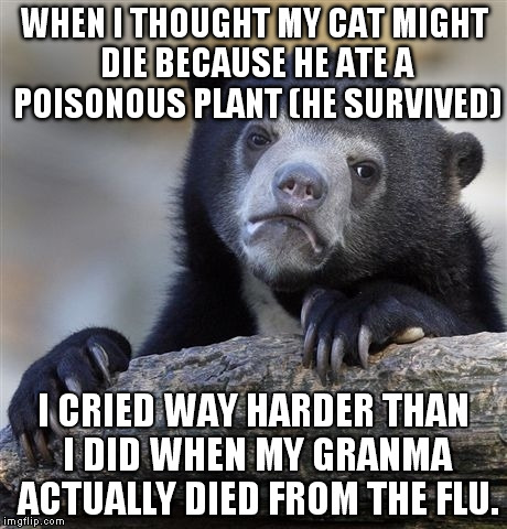 Confession Bear Meme | WHEN I THOUGHT MY CAT MIGHT DIE BECAUSE HE ATE A POISONOUS PLANT (HE SURVIVED); I CRIED WAY HARDER THAN I DID WHEN MY GRANMA ACTUALLY DIED FROM THE FLU. | image tagged in memes,confession bear | made w/ Imgflip meme maker