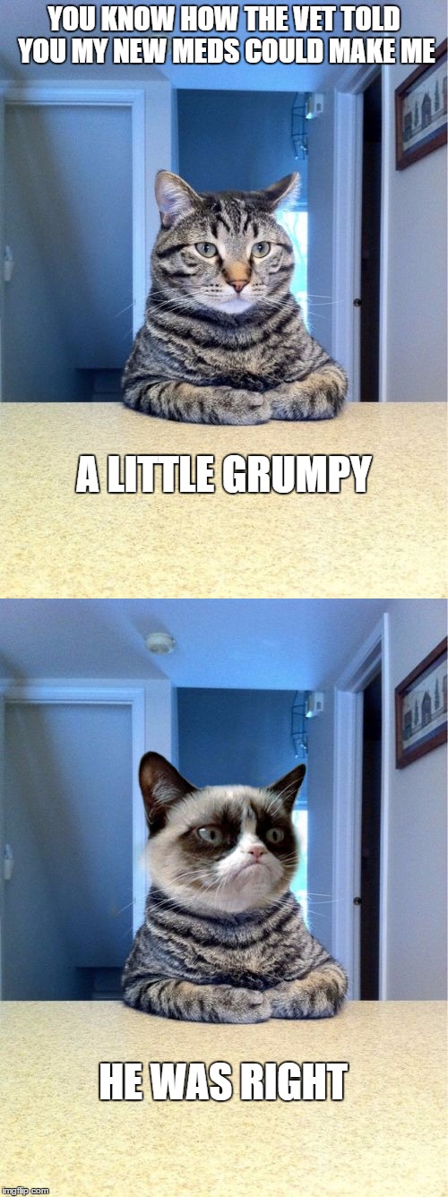 Always heed the warnings | YOU KNOW HOW THE VET TOLD YOU MY NEW MEDS COULD MAKE ME; A LITTLE GRUMPY; HE WAS RIGHT | image tagged in memes,grumpy cat,take a seat cat,funny | made w/ Imgflip meme maker