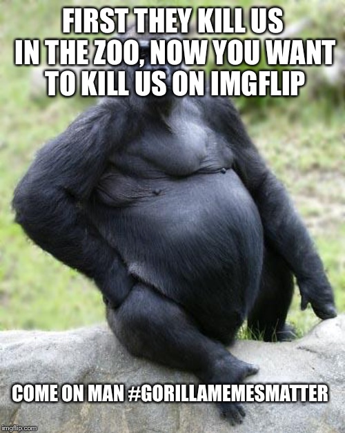 FIRST THEY KILL US IN THE ZOO, NOW YOU WANT TO KILL US ON IMGFLIP COME ON MAN #GORILLAMEMESMATTER | made w/ Imgflip meme maker