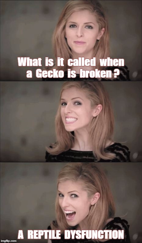 Oh, poor Lizard .. | What  is  it  called  when  a  Gecko  is  broken ? A  REPTILE  DYSFUNCTION | image tagged in memes,bad pun anna kendrick,gecko,lizard | made w/ Imgflip meme maker