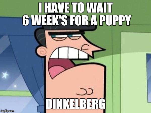 Dinkelberg | I HAVE TO WAIT 6 WEEK'S FOR A PUPPY; DINKELBERG | image tagged in dinkelberg | made w/ Imgflip meme maker