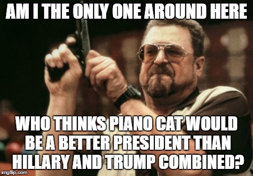 Piano Cat for prez! XD | AM I THE ONLY ONE AROUND HERE; WHO THINKS PIANO CAT WOULD BE A BETTER PRESIDENT THAN HILLARY AND TRUMP COMBINED? | image tagged in memes,am i the only one around here,piano cat,trump,hillary,president | made w/ Imgflip meme maker