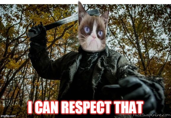 I CAN RESPECT THAT | image tagged in grump cat jason | made w/ Imgflip meme maker