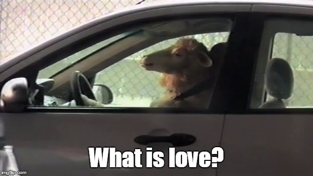 What is love? | made w/ Imgflip meme maker