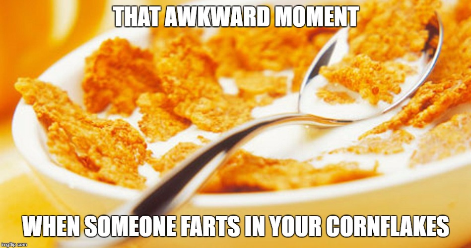Fart in Cornflakes | THAT AWKWARD MOMENT; WHEN SOMEONE FARTS IN YOUR CORNFLAKES | image tagged in fart in cornflakes | made w/ Imgflip meme maker