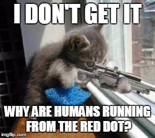 Kitty needs an explanation | I DON'T GET IT; WHY ARE HUMANS RUNNING FROM THE RED DOT? | image tagged in catsniper,cats,funny,kitty | made w/ Imgflip meme maker