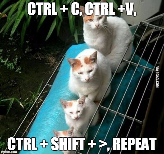 How to increase font size | CTRL + C, CTRL +V, CTRL + SHIFT + >, REPEAT | image tagged in size cats,cats,funny,funny cats,tips | made w/ Imgflip meme maker