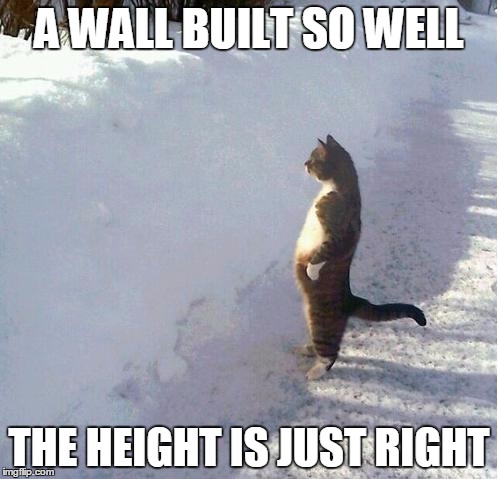 Maginificent! | A WALL BUILT SO WELL; THE HEIGHT IS JUST RIGHT | image tagged in cats,funny,funny cats,wall,snow | made w/ Imgflip meme maker