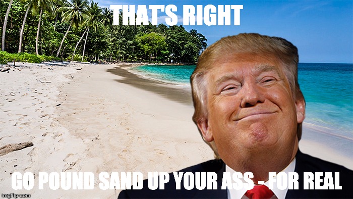Donald Trump: "Go Pound Sand Up Your Ass" | THAT'S RIGHT; GO POUND SAND UP YOUR ASS -
FOR REAL | image tagged in donald trump,go pound sand up your ass | made w/ Imgflip meme maker
