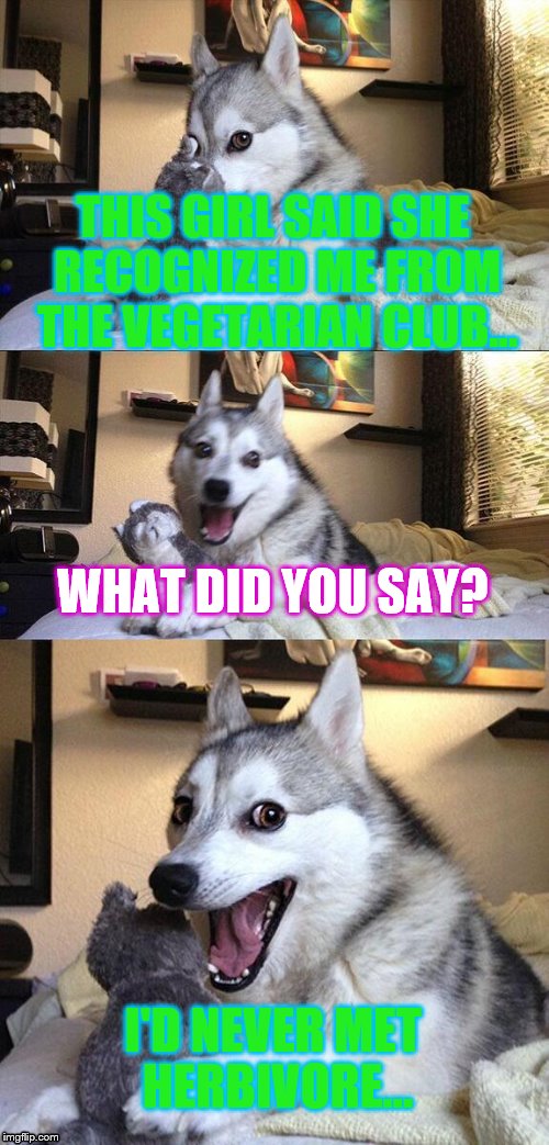 Another bad pun... gosh please help me stop | THIS GIRL SAID SHE RECOGNIZED ME FROM THE VEGETARIAN CLUB... WHAT DID YOU SAY? I'D NEVER MET HERBIVORE... | image tagged in memes,bad pun dog | made w/ Imgflip meme maker