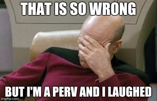 Captain Picard Facepalm Meme | THAT IS SO WRONG BUT I'M A PERV AND I LAUGHED | image tagged in memes,captain picard facepalm | made w/ Imgflip meme maker