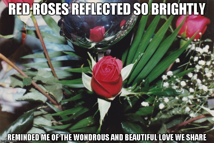 Roses Like Love | RED ROSES REFLECTED SO BRIGHTLY; REMINDED ME OF THE WONDROUS AND BEAUTIFUL LOVE WE SHARE | image tagged in roses,love | made w/ Imgflip meme maker