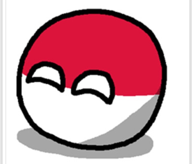 High Quality Polandball happy face  Blank Meme Template