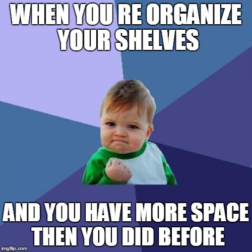 Success Kid Meme | WHEN YOU RE ORGANIZE YOUR SHELVES; AND YOU HAVE MORE SPACE THEN YOU DID BEFORE | image tagged in memes,success kid,transformers | made w/ Imgflip meme maker