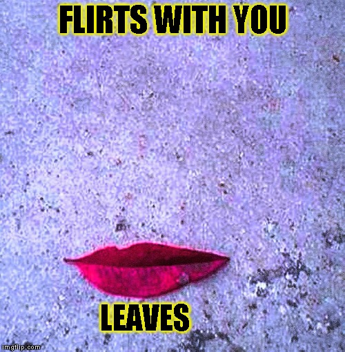 Get It? | FLIRTS WITH YOU; LEAVES | image tagged in funny,leafs logic,memes,nature,tree | made w/ Imgflip meme maker