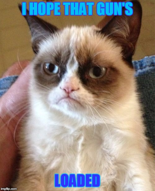 Grumpy Cat Meme | I HOPE THAT GUN'S LOADED | image tagged in memes,grumpy cat | made w/ Imgflip meme maker