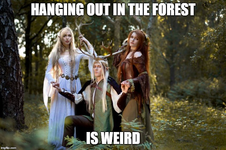 HANGING OUT IN THE FOREST; IS WEIRD | image tagged in NLSSCircleJerk | made w/ Imgflip meme maker