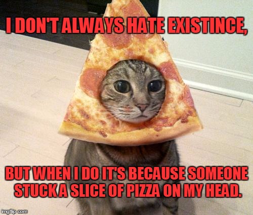 pizza cat | I DON'T ALWAYS HATE EXISTINCE, BUT WHEN I DO IT'S BECAUSE SOMEONE STUCK A SLICE OF PIZZA ON MY HEAD. | image tagged in pizza cat | made w/ Imgflip meme maker