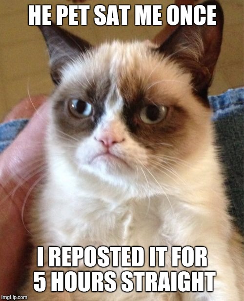 Grumpy Cat Meme | HE PET SAT ME ONCE I REPOSTED IT FOR 5 HOURS STRAIGHT | image tagged in memes,grumpy cat | made w/ Imgflip meme maker