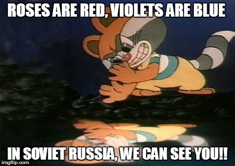 Reflection | ROSES ARE RED, VIOLETS ARE BLUE; IN SOVIET RUSSIA, WE CAN SEE YOU!! | image tagged in raccoon,kroshka enot | made w/ Imgflip meme maker