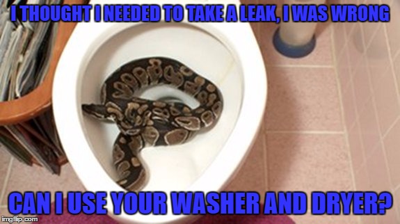 SOMEONE CALL AN AMBULANCE, OH AND GET ME SOME CLEAN UNDERWEAR. | I THOUGHT I NEEDED TO TAKE A LEAK, I WAS WRONG; CAN I USE YOUR WASHER AND DRYER? | image tagged in memes,lol,lynch1979,snakes | made w/ Imgflip meme maker