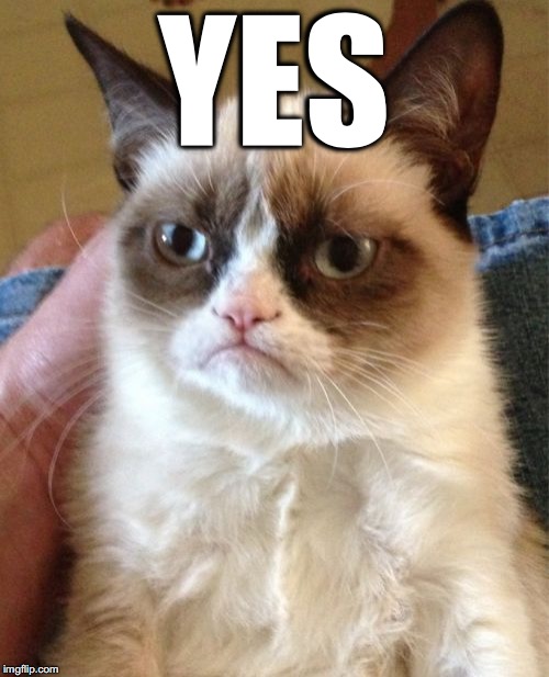 Grumpy Cat Meme | YES | image tagged in memes,grumpy cat | made w/ Imgflip meme maker