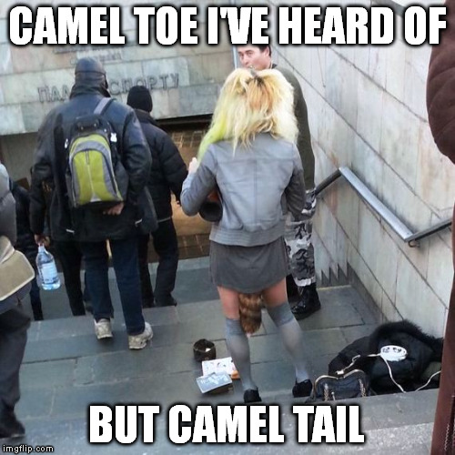 Needs a trim job | CAMEL TOE I'VE HEARD OF; BUT CAMEL TAIL | image tagged in memes | made w/ Imgflip meme maker