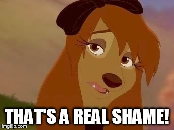 That's A Real Shame! | THAT'S A REAL SHAME! | image tagged in dixie melancholy,memes,disney,the fox and the hound 2,reba mcentire,dog | made w/ Imgflip meme maker