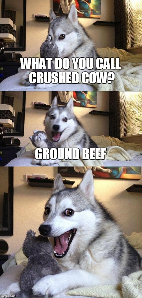 Bad Pun Dog | WHAT DO YOU CALL CRUSHED COW? GROUND BEEF | image tagged in memes,bad pun dog | made w/ Imgflip meme maker