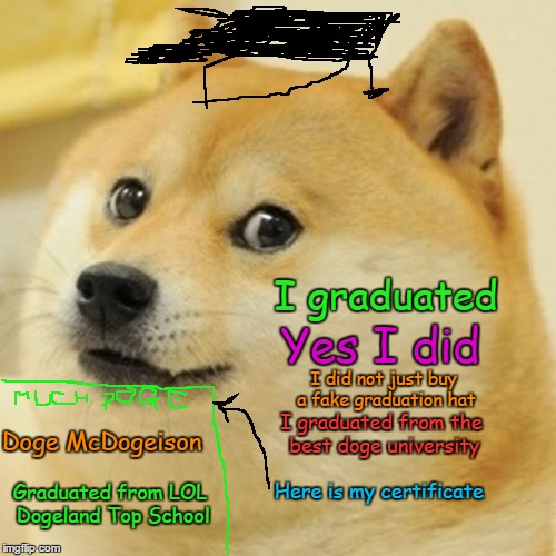 Doge Meme | I graduated; Yes I did; I did not just buy a fake graduation hat; I graduated from the best doge university; Doge McDogeison; Here is my certificate; Graduated from LOL Dogeland Top School | image tagged in memes,doge | made w/ Imgflip meme maker