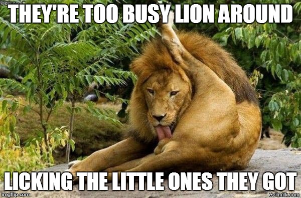 THEY'RE TOO BUSY LION AROUND LICKING THE LITTLE ONES THEY GOT | made w/ Imgflip meme maker