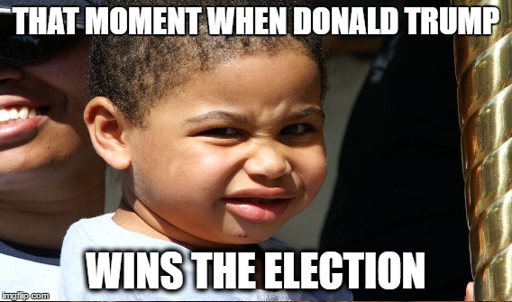 Donalds Meme | THAT MOMENT WHEN DONALD TRUMP; WINS THE ELECTION | image tagged in political meme | made w/ Imgflip meme maker