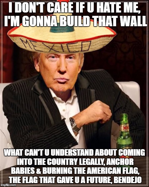 Trump Interesting Sombrero | I DON'T CARE IF U HATE ME, I'M GONNA BUILD THAT WALL; WHAT CAN'T U UNDERSTAND ABOUT COMING INTO THE COUNTRY LEGALLY, ANCHOR BABIES & BURNING THE AMERICAN FLAG, THE FLAG THAT GAVE U A FUTURE, BENDEJO | image tagged in trump interesting sombrero | made w/ Imgflip meme maker