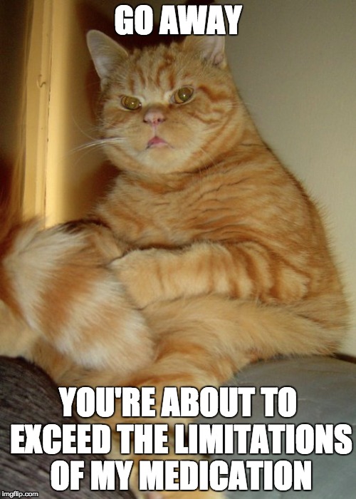 Fatty Cat needs stronger meds to be around you | GO AWAY; YOU'RE ABOUT TO EXCEED THE LIMITATIONS OF MY MEDICATION | image tagged in fatty cat,stupid people,medication | made w/ Imgflip meme maker