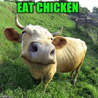 EAT CHICKEN | made w/ Imgflip meme maker