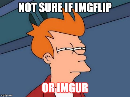 Seriously, what's the difference? | NOT SURE IF IMGFLIP; OR IMGUR | image tagged in memes,futurama fry,imgflip,imgur | made w/ Imgflip meme maker