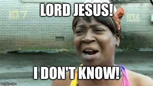 Ain't Nobody Got Time For That Meme | LORD JESUS! I DON'T KNOW! | image tagged in memes,aint nobody got time for that | made w/ Imgflip meme maker