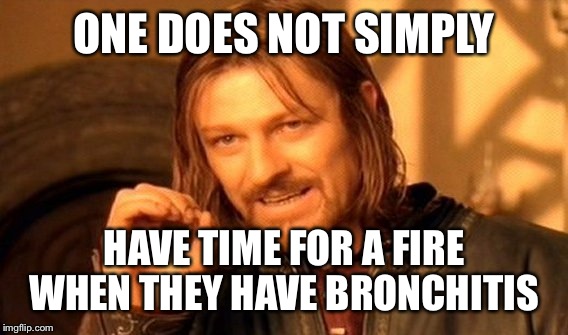 One Does Not Simply Meme | ONE DOES NOT SIMPLY HAVE TIME FOR A FIRE WHEN THEY HAVE BRONCHITIS | image tagged in memes,one does not simply | made w/ Imgflip meme maker